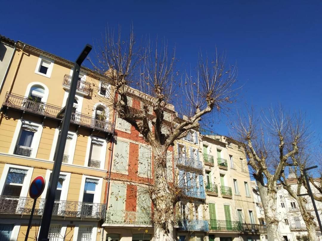 Entre Ville Et Canal, Calme Et Central - Gare A 700 M Narbonne Eksteriør billede
